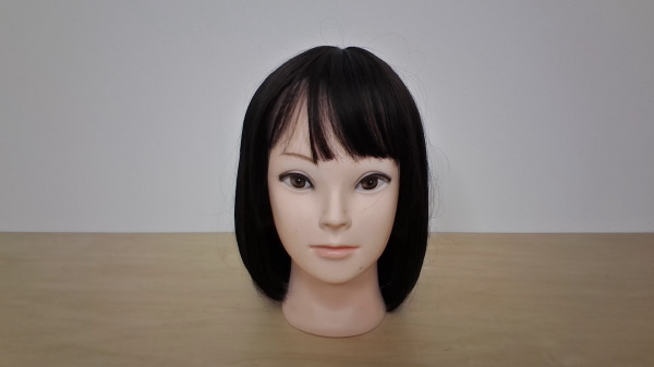 Webカメラで撮影した画像